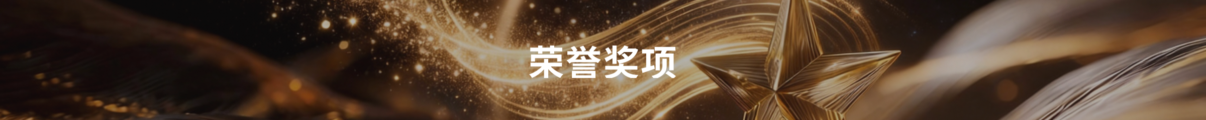 奖项与荣誉 - Kevin Tan